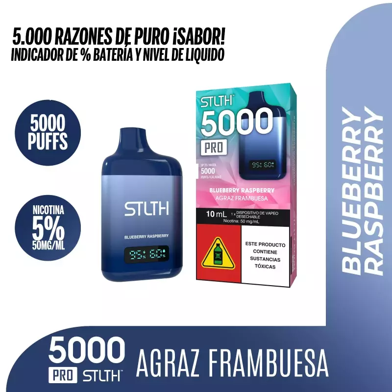 BLUEBERRY RASPBERRY 🫐 (5.000 PUFFS)