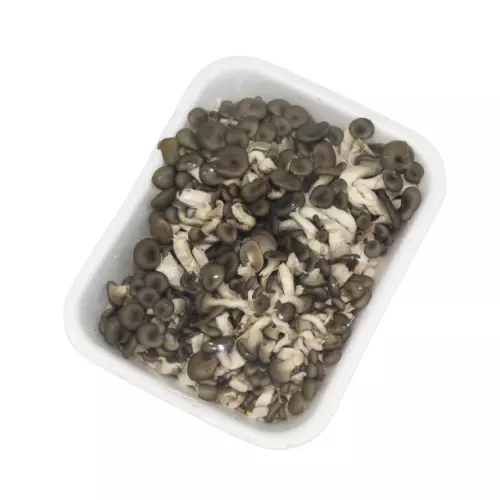 Shimeji Preto 200g