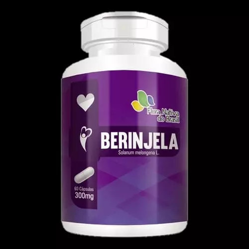 Berinjela