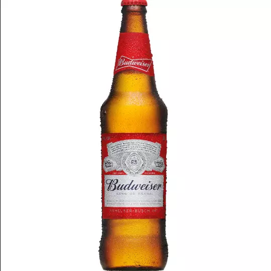 Cerveja Budweiser Garrafa 600ml