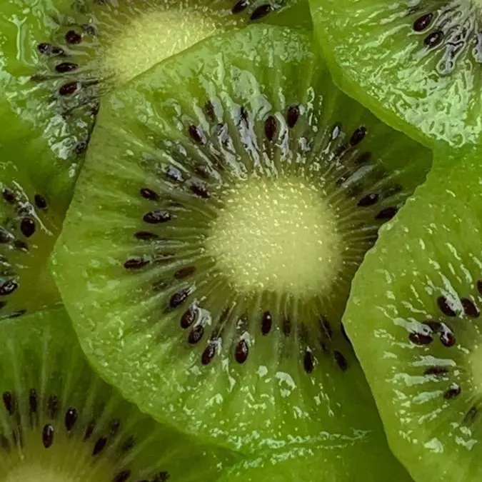 KIWI fresco