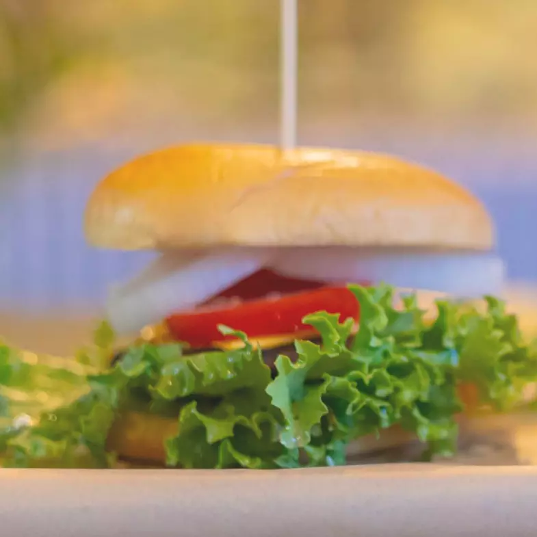 Hamburguesa de Pollo