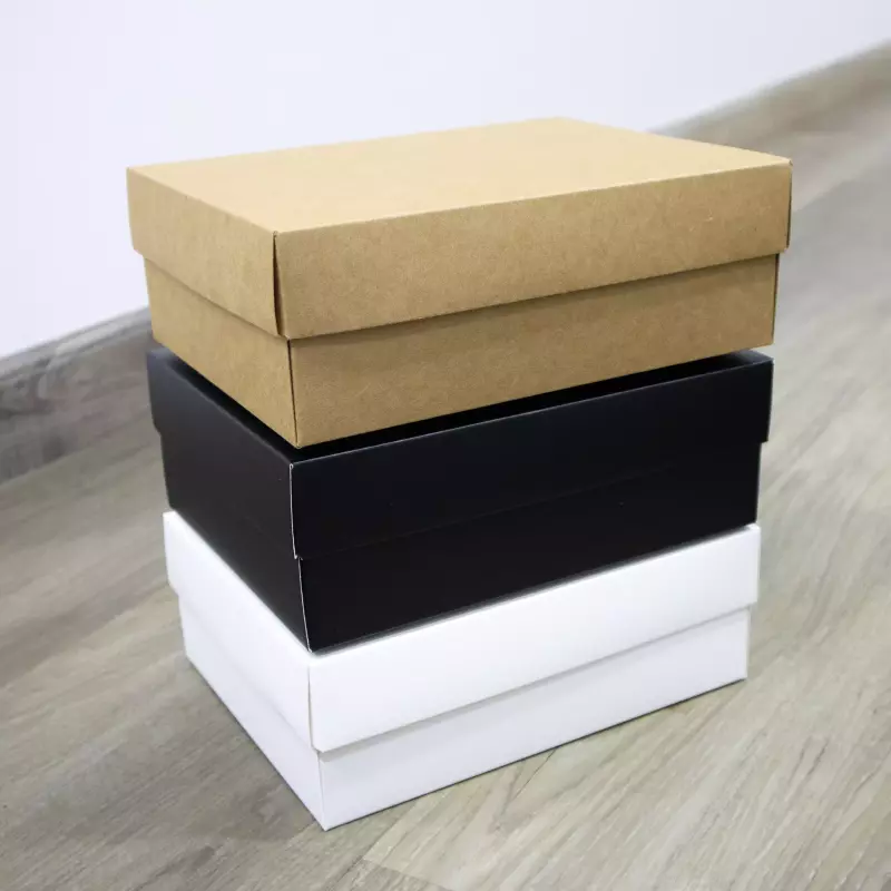 Caja de carton con tapa (M) #0551