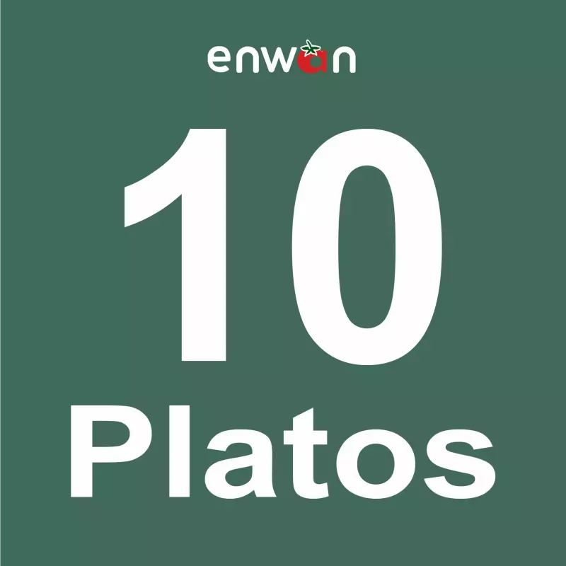 Paquete 10 Días para 1 Persona