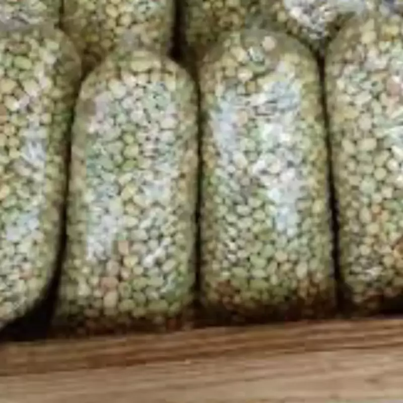 FEIJÃO VERDE - PEQUENO