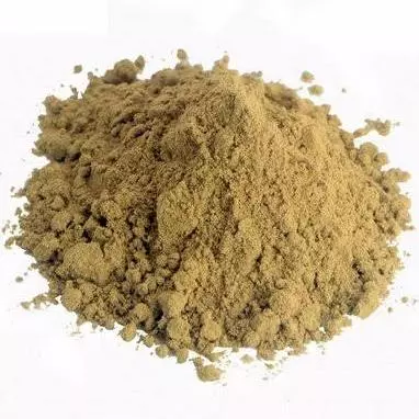 Tribullus terrestris