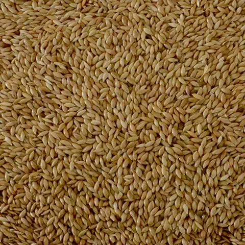 ALPISTE POLIDO KG (1180)