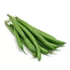 Ejote
