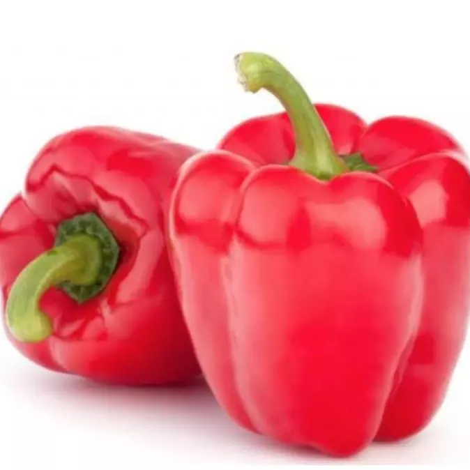 PIMENTÃO REI VERMELHO