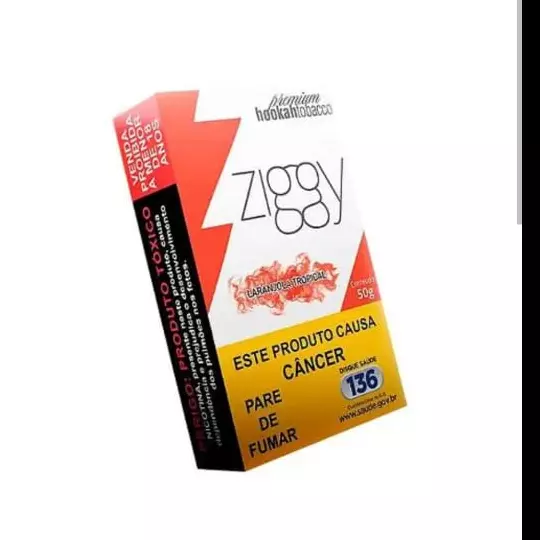 ZIGGY LARANJONA pack 10 UN.