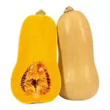 Anco Batata  x KG org