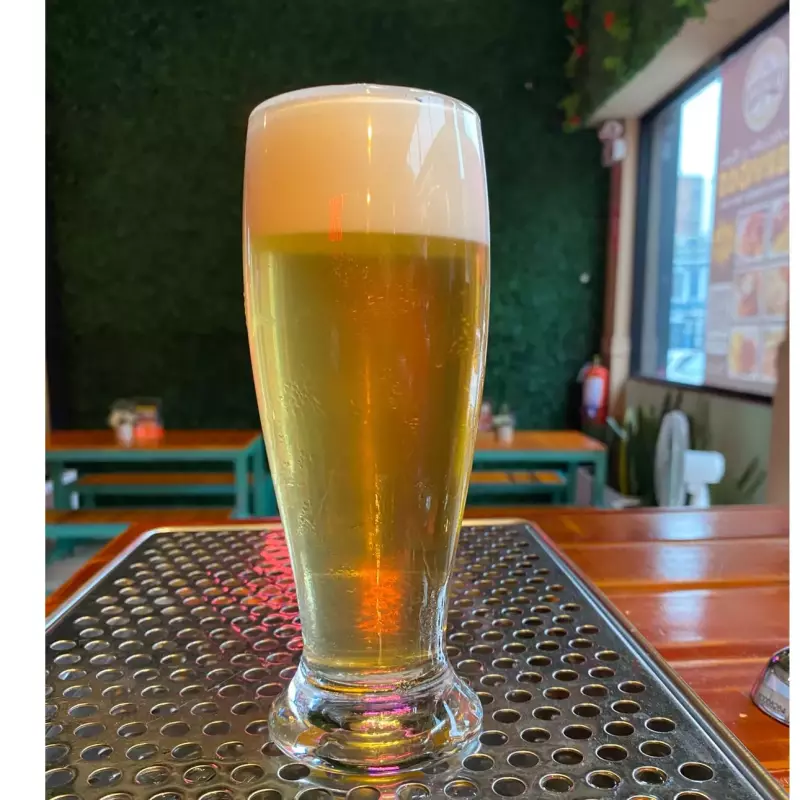 CHOPP SINVERGUENZA (PILSNER) 300 ML