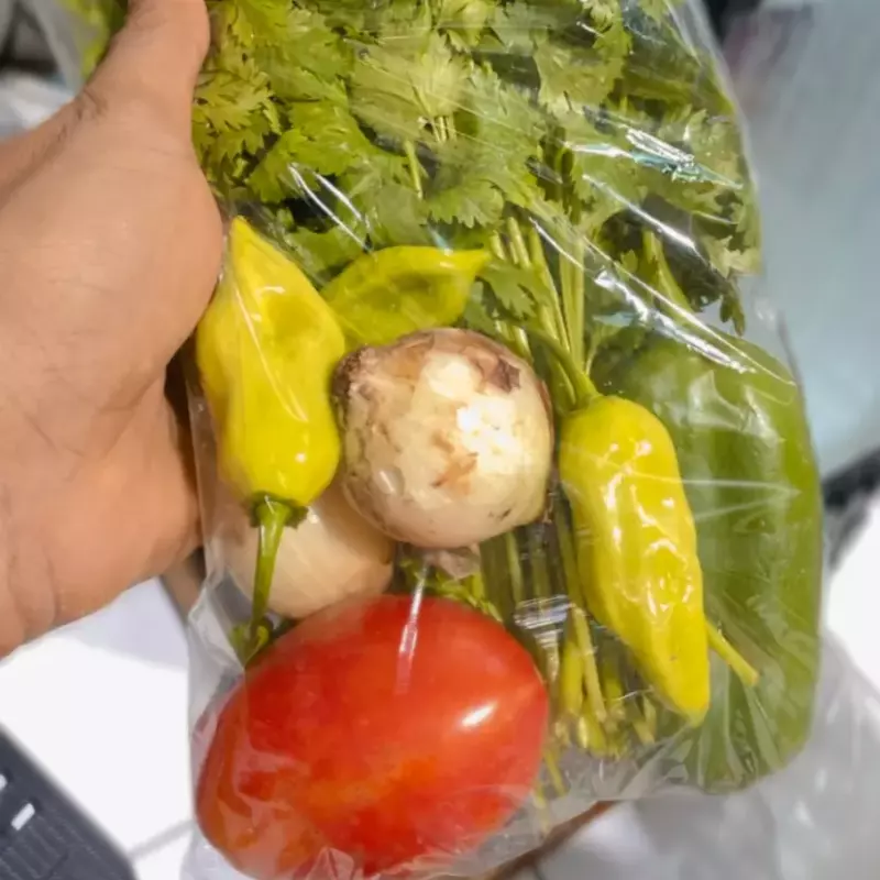 XERO VERDE - COMPLETINHO