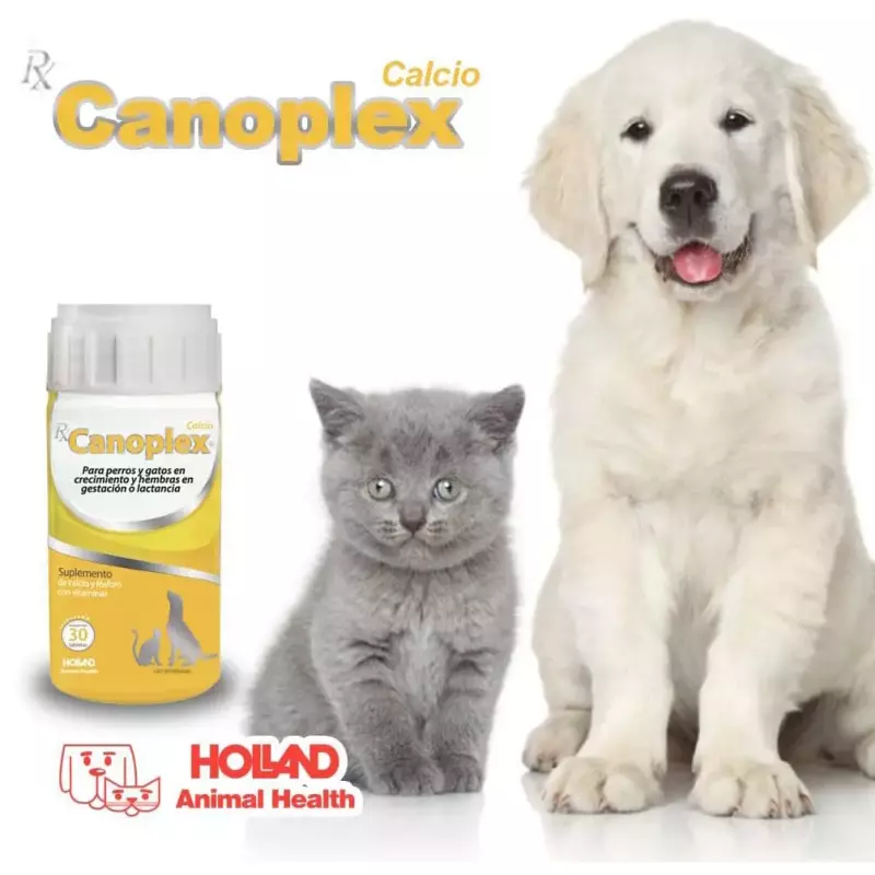 CANOPLEX CALCIO