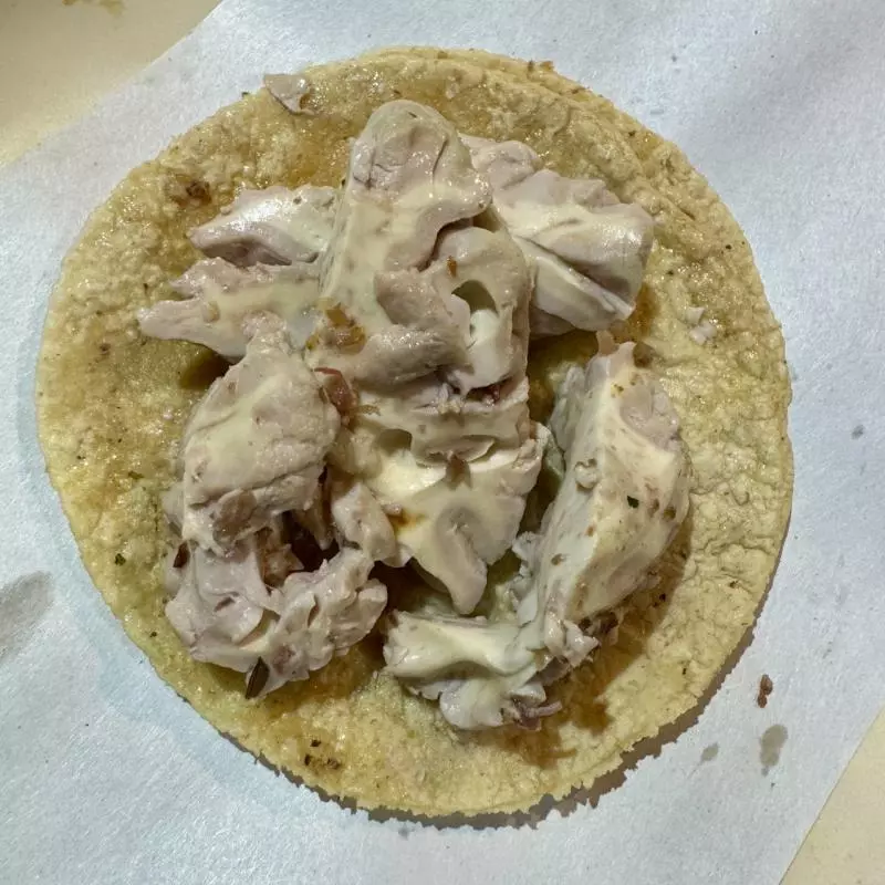 lengua y sesos
