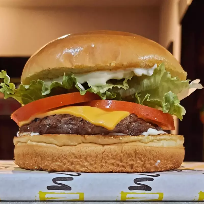 BURGUER 2 - ITAJUBÁ SALADA