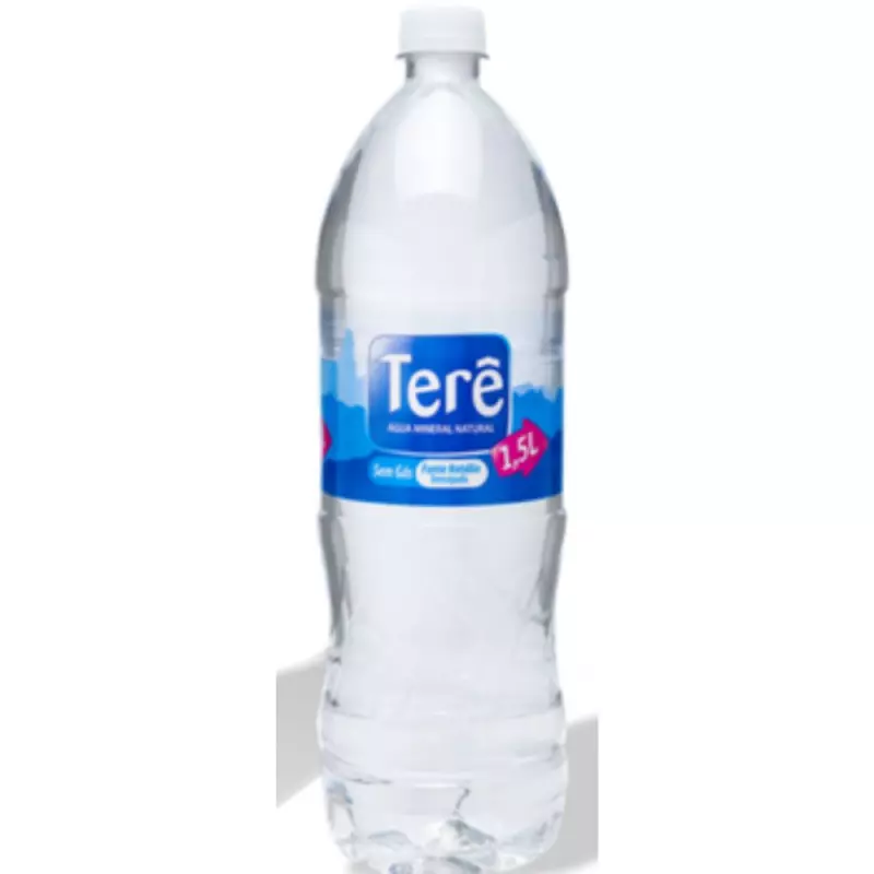 Água Mineral Sem Gás Terê 1,5L