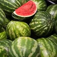 SANDIA 4 UDS