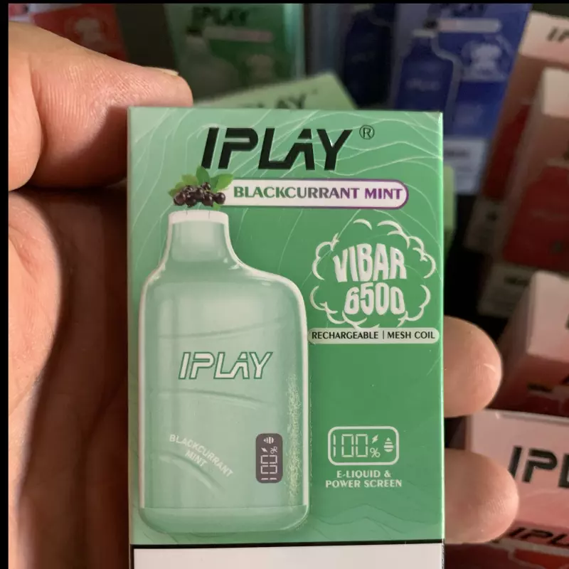 Blackcurrant Mint 🫐🧊🧊