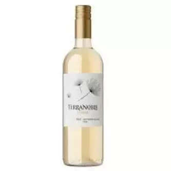 Terranoble - Sauvignon Blanc