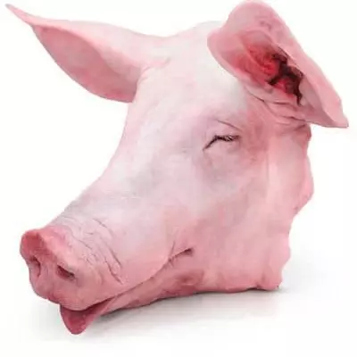 Cabeza de puerco
