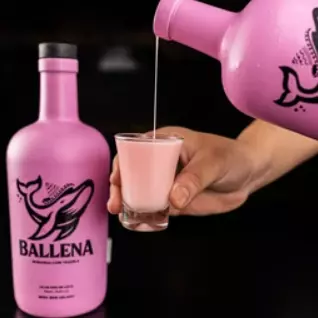 Ballena Tradicional