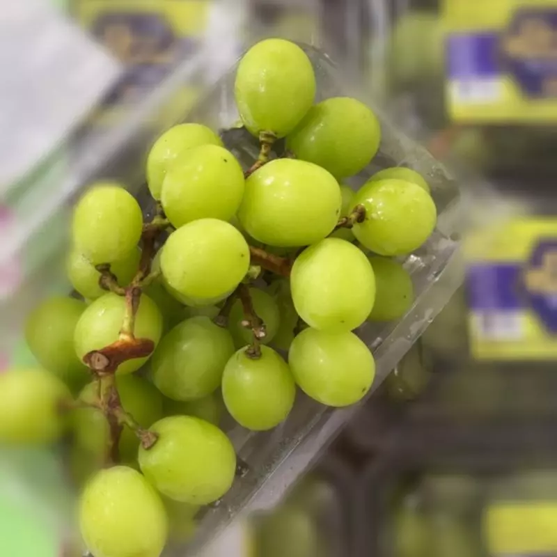 Uva Gourmet Pilar Moscato