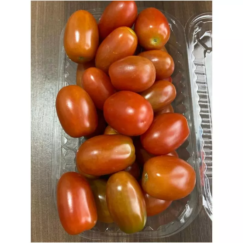 Tomate cereja - Néia