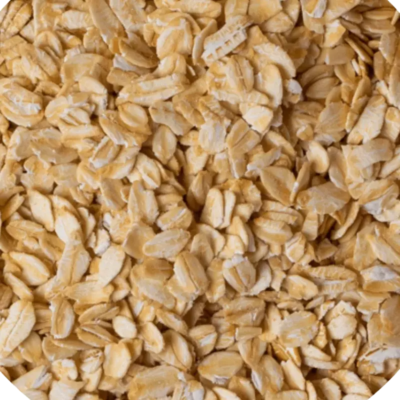 Avena Gruesa