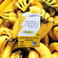 ZGY: Banana Tropical