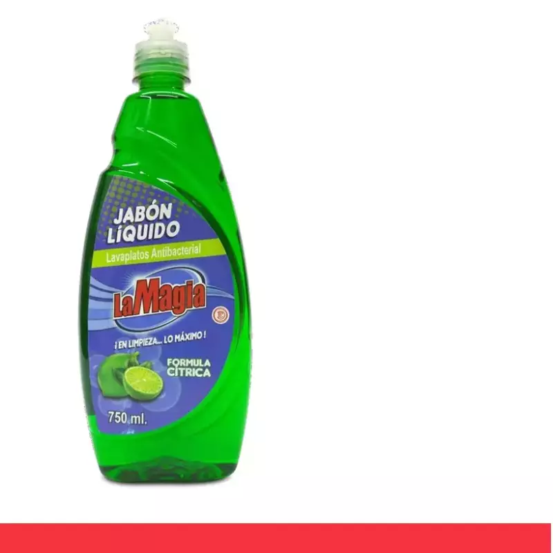 R10041-JABON LIQ. ANTIBACT 750 ML