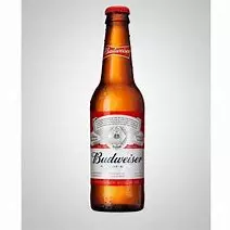 Cerveja Budweiser Long Neck