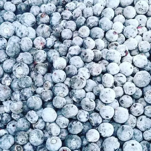 Mirtilo - Pacote 1 KG