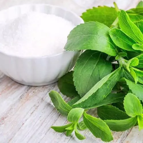 Stevia deshidratada x500gr