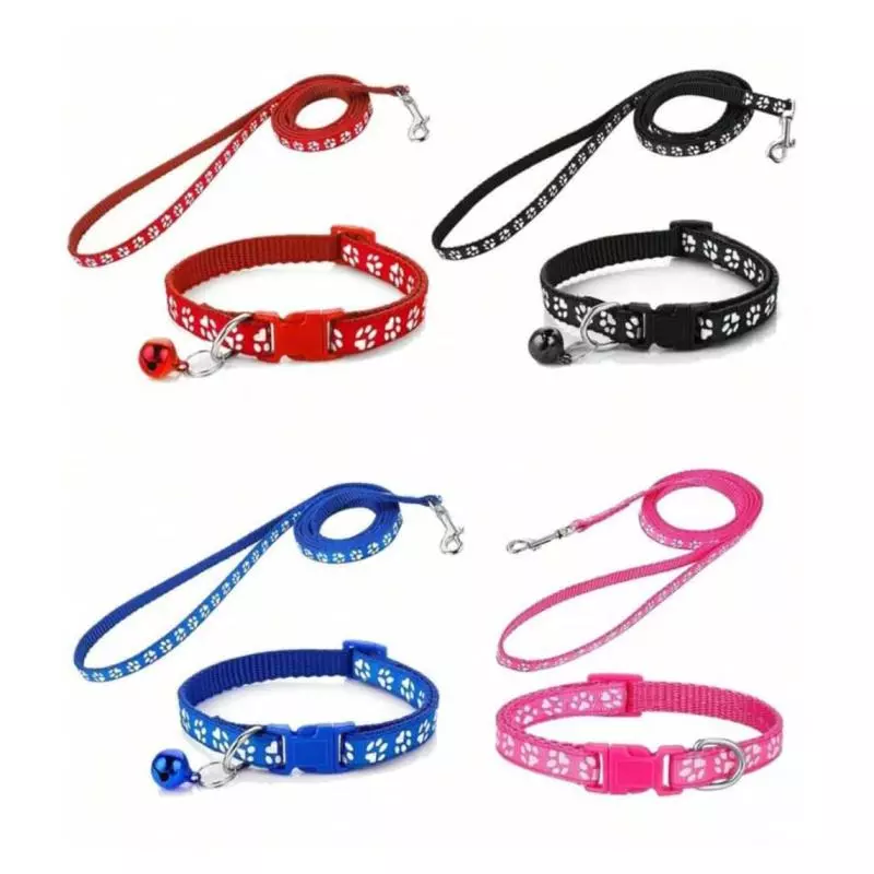 COLLAR CON CORREA