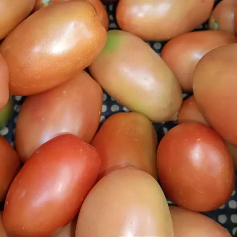 TOMATE ITALIANO ORG. 1kg