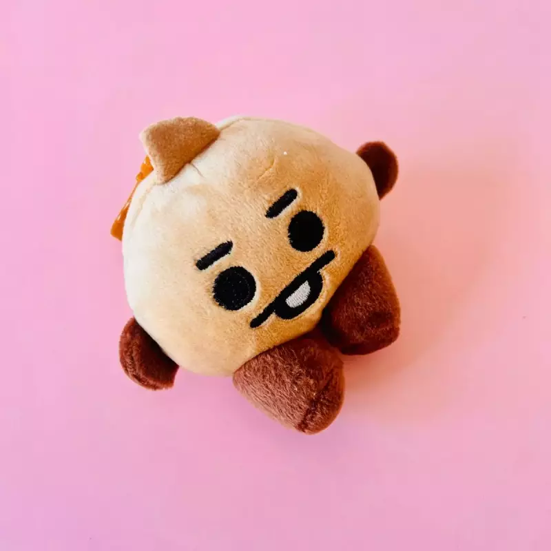 Peluches llaveros BT21 Shooky