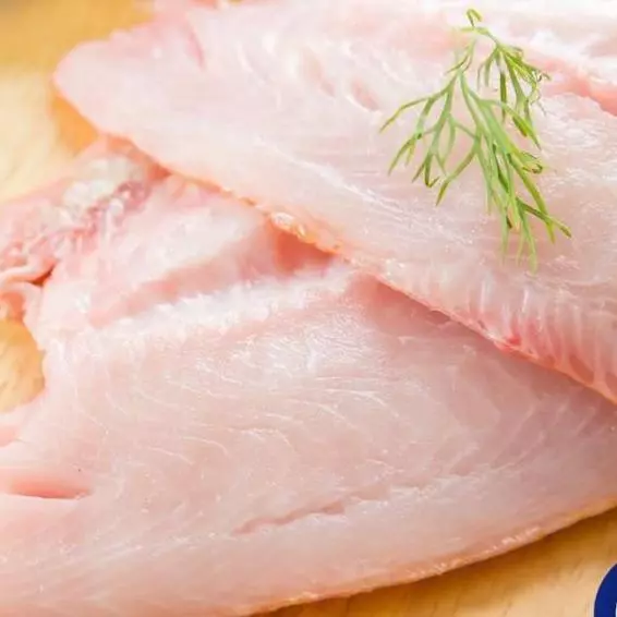 File de Tilápia fresca Kg