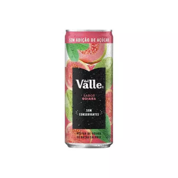 Suco Del Valle Goiaba 290ml