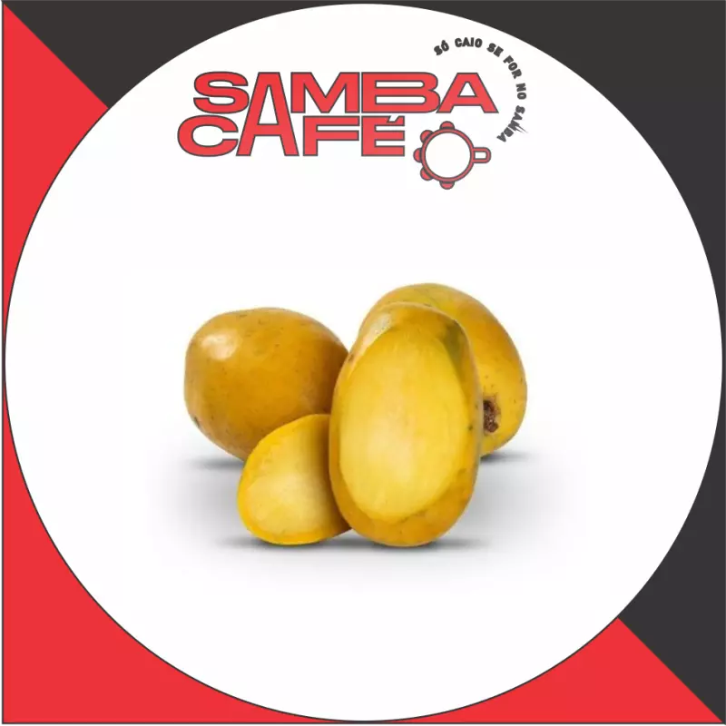 SUCO DE CAJÁ (COPO)