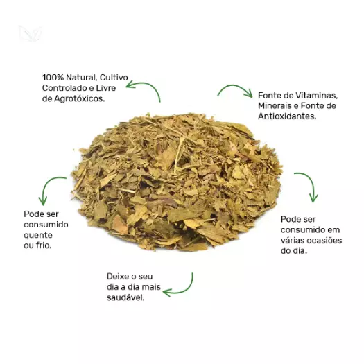 Ginkobiloba Folhas - 20g