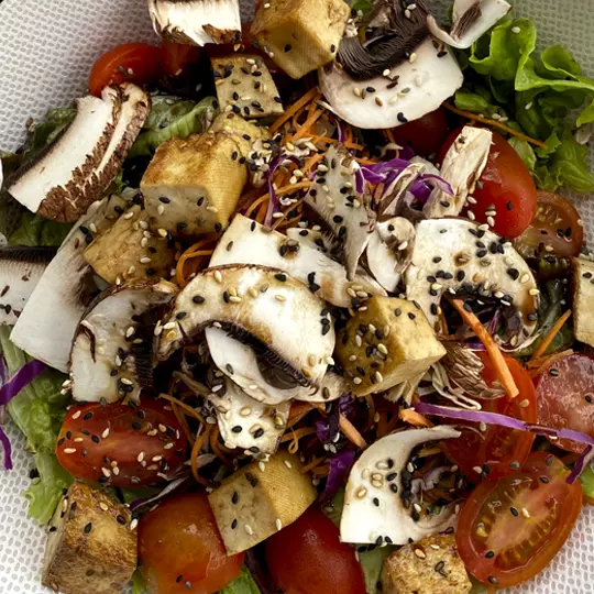 TOFU SALAD