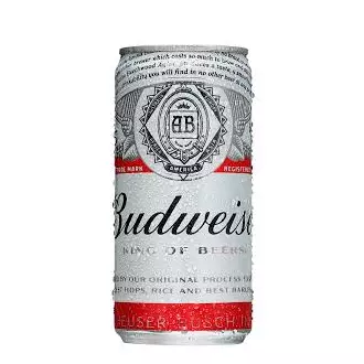 Cerveja Budweiser 269 ml
