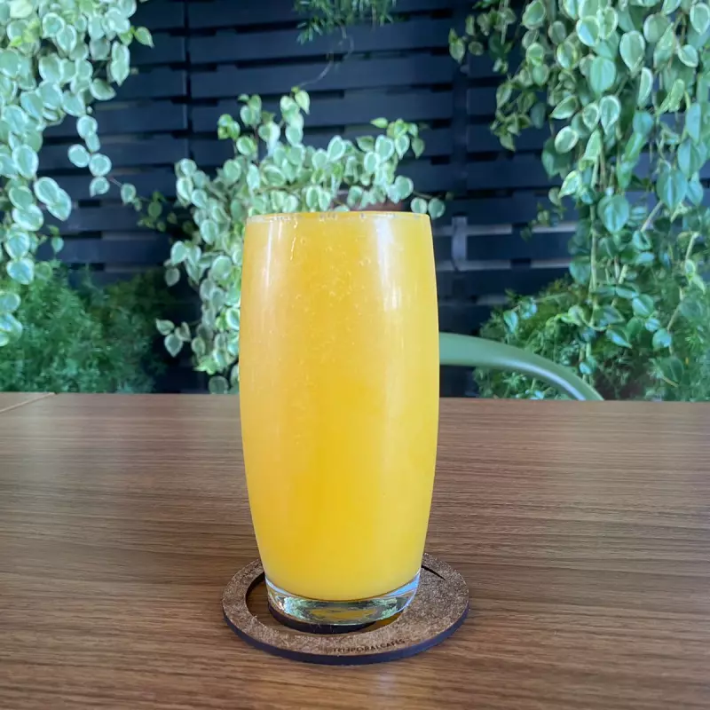SUCO (POLPA)