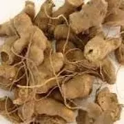Nó de Cachoroo 100 gr