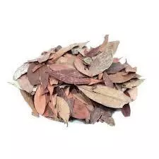 INSULINA FOLHAS