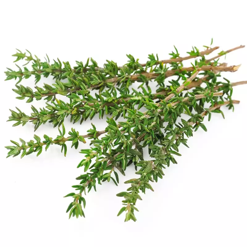 Tomillo Fresco (1 manojo)