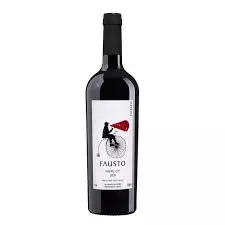 FAUSTO MERLOT  - BRASIL