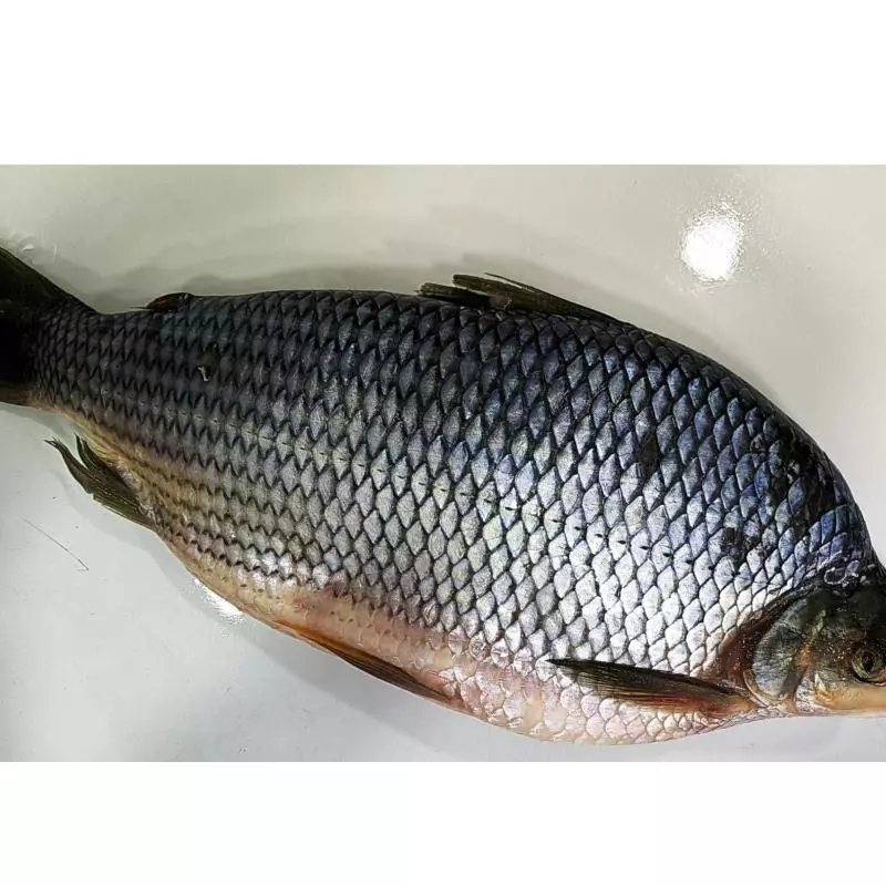 Curimba Inteira Limpa (kg)