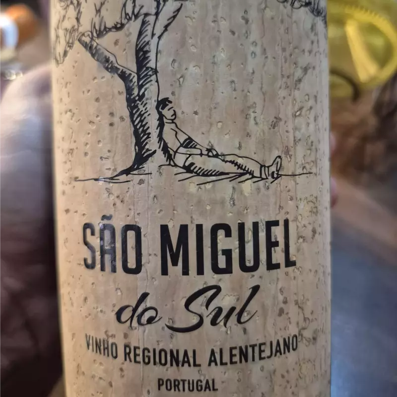 SÃO MIGUEL DO SUL BLAD
